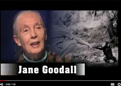Jane Goodall on The Barron Prize